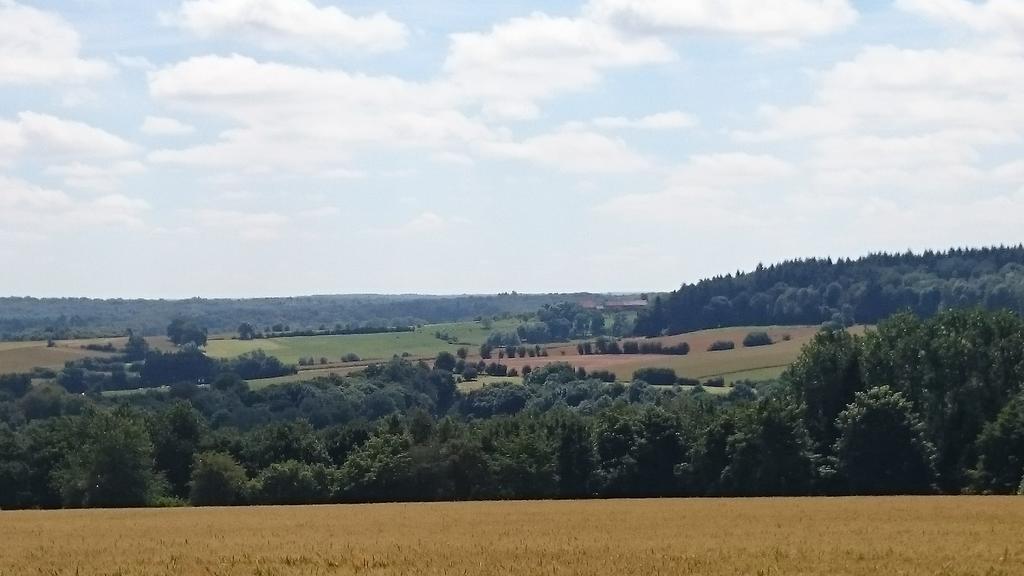 B&B Aux Anges Profondeville Zewnętrze zdjęcie