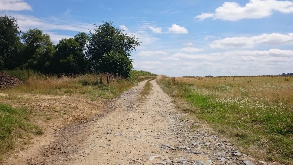 B&B Aux Anges Profondeville Zewnętrze zdjęcie