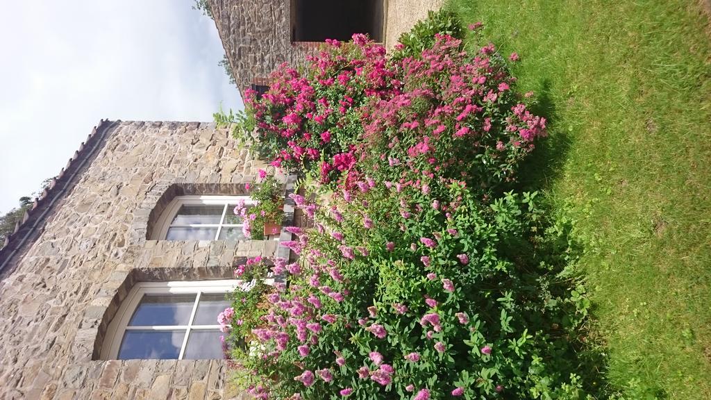 B&B Aux Anges Profondeville Zewnętrze zdjęcie