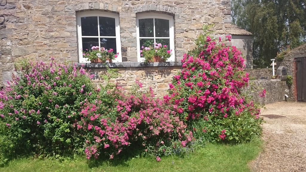 B&B Aux Anges Profondeville Zewnętrze zdjęcie